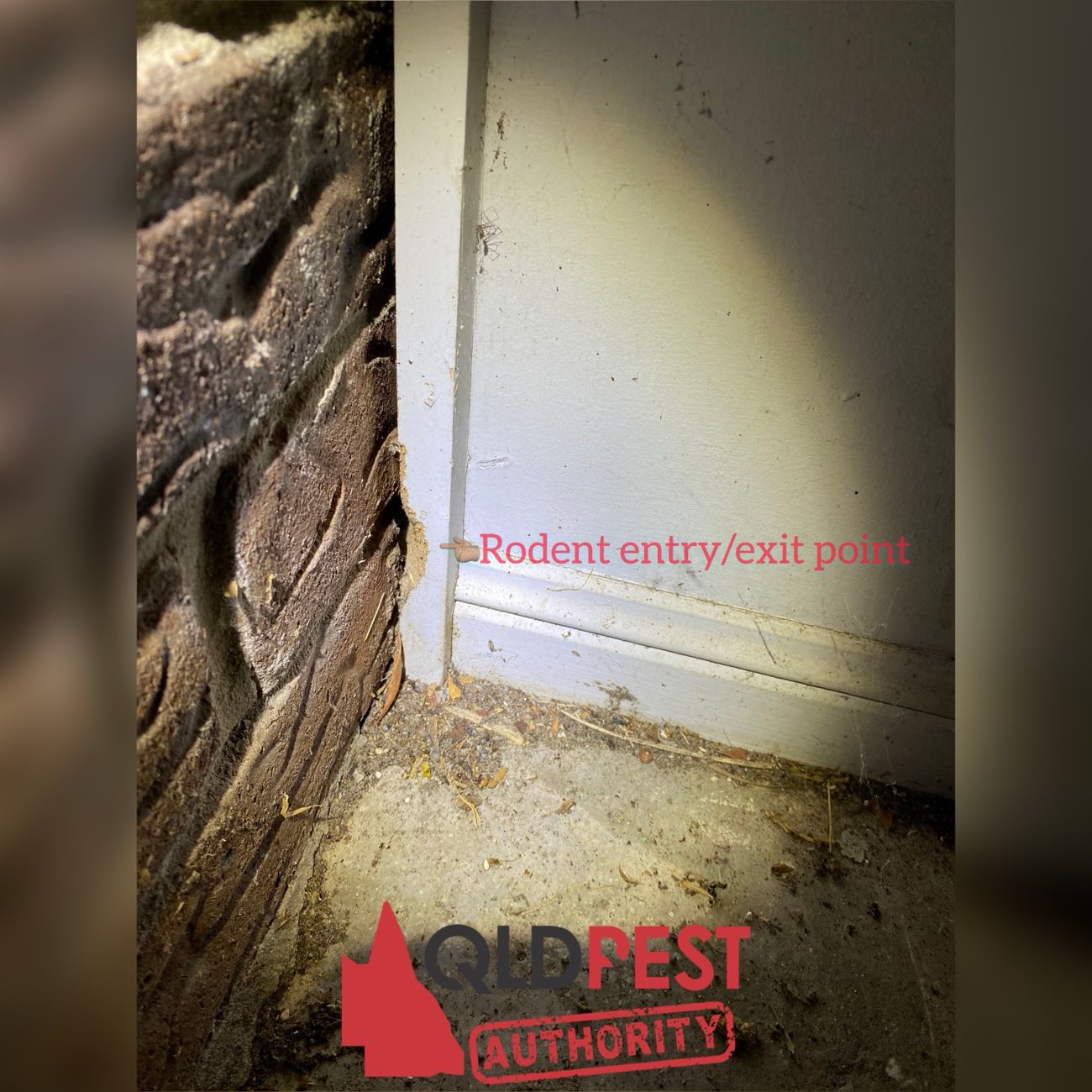 Potential rodent entry gap between wall and masonry