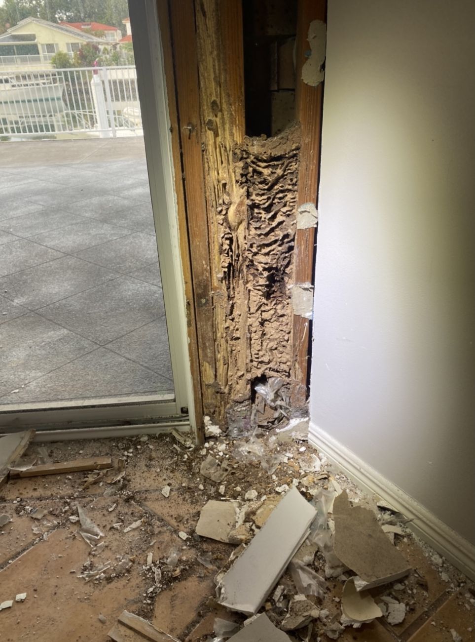 Extensive damaged timber found during a pest investigation